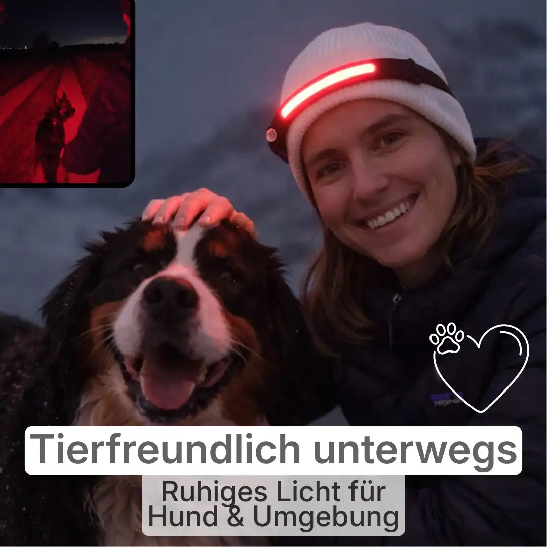 Stirnlampe v2 - Probani